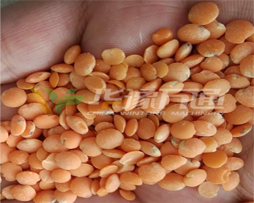 兵豆脱皮破瓣成套设备 兵豆脱皮破瓣成套设备